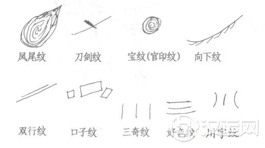 手纹变化示意图2