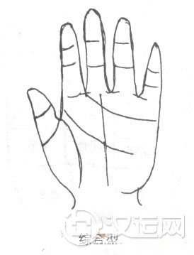 手相手掌算命：综合型手掌