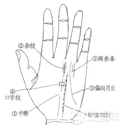 手相成功线分叉、成功线的末端与波浪线