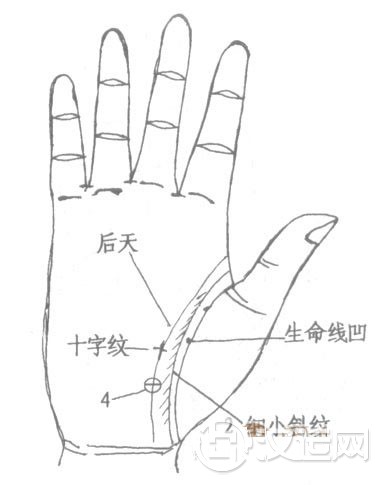 生命线健康，生命线十字纹、星纹、斑点、岛纹
