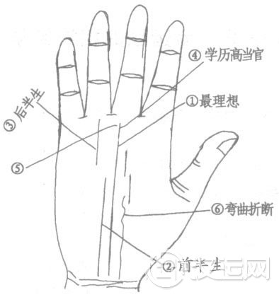 手相命运线（也称玉柱线）的相法总论