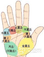 掌丘命运，手相掌丘命运图解、从掌丘洞悉运势