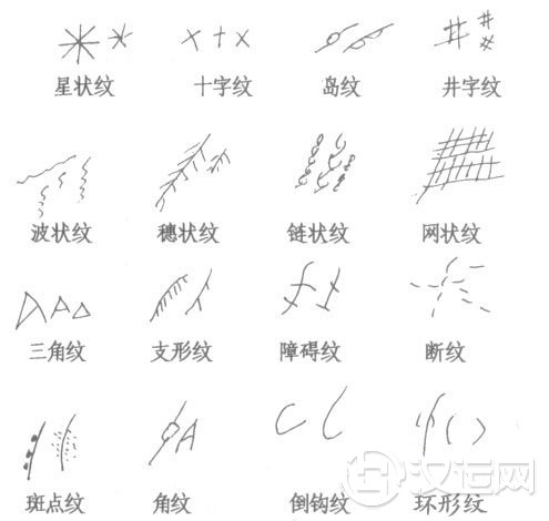 手纹变化示意图