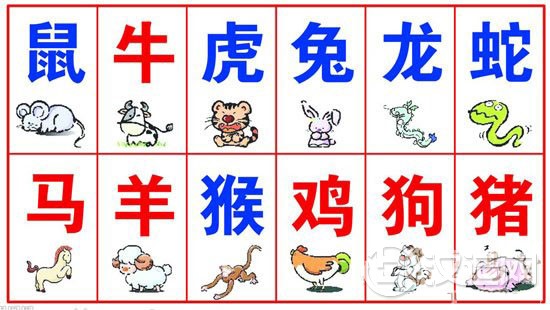 十二生肖顺序图解，十二生肖前后顺序