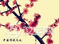 梅花易数10条诀窍    掌握诀窍学习梅花易数
