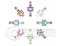 梅花易数起卦方法集锦（上）