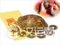 六爻占卜的结果是不是准确的（下）
