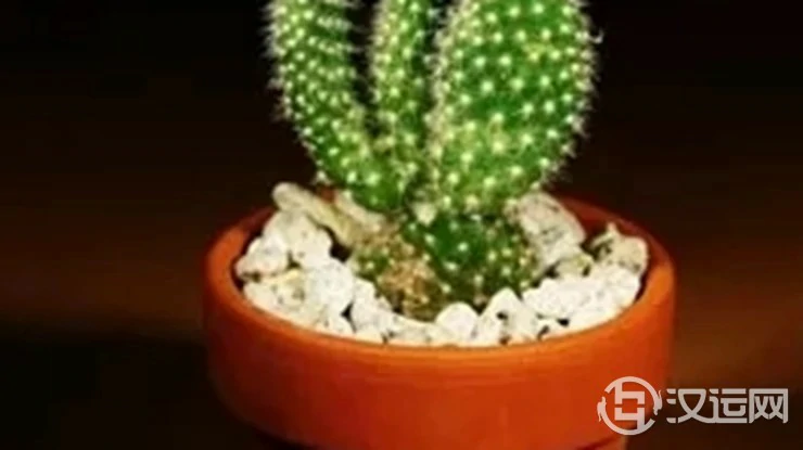 求职顺利、升职无阻碍的风水开运法