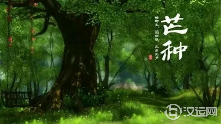 详解二十四节气——芒种