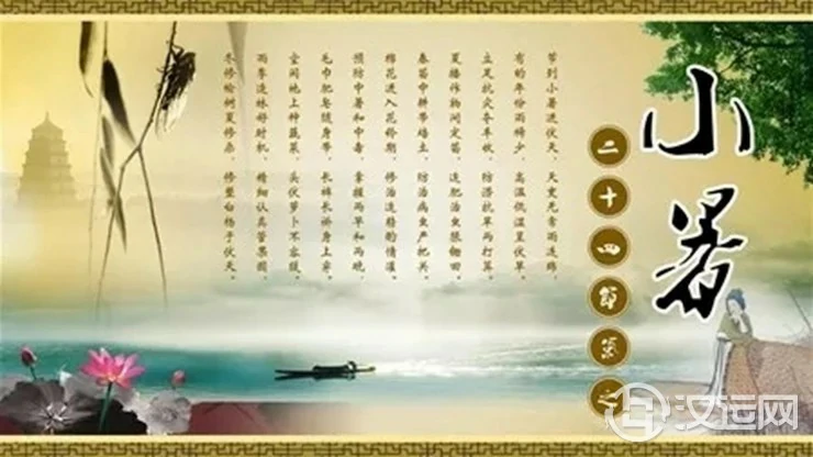 详解二十四节气——小暑