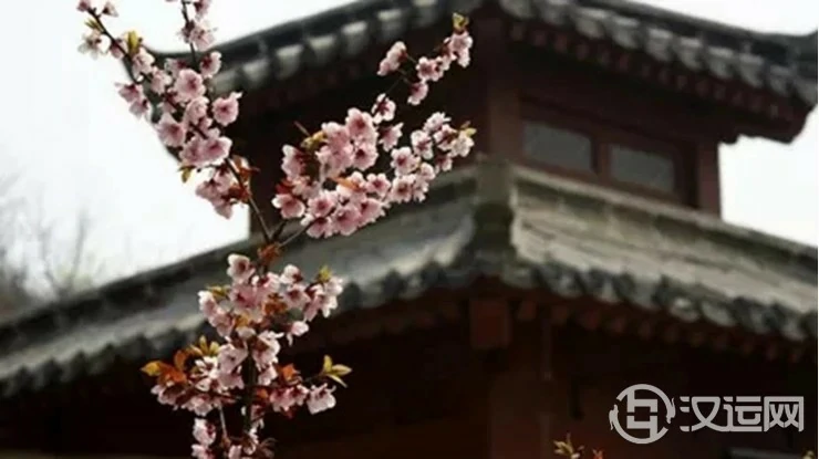 八字看你是否命带墙外桃花