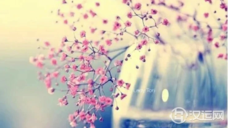 八字命理看哪些桃花要远离