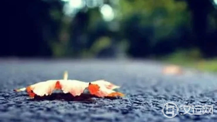 为何他爱你却不跟你在一起？