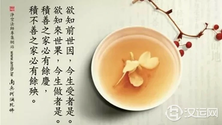 人吃亏不是因为善良，而是因为缺少智慧
