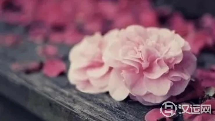 八字看你命中桃花有几朵