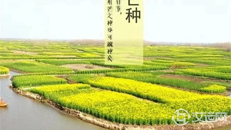 芒种为何是桃花月的开始？