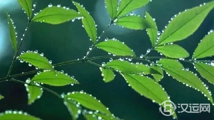 白露将至，这些习俗可以帮你旺运