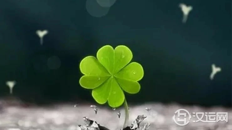 看12生肖天生都有啥好运