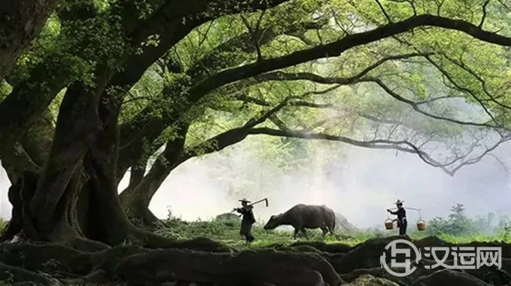 为什么善良的人一生痛苦磨难多？