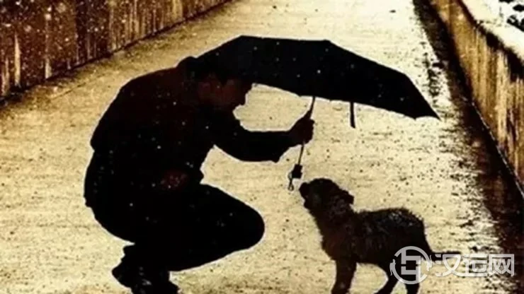 世间最珍贵的东西其实都是免费的，你拥有了几样？