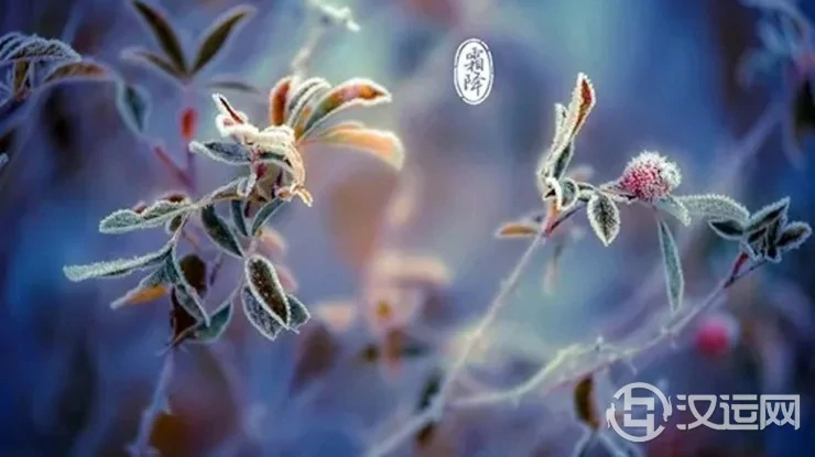 霜降节气，如何旺运养生你可知道？