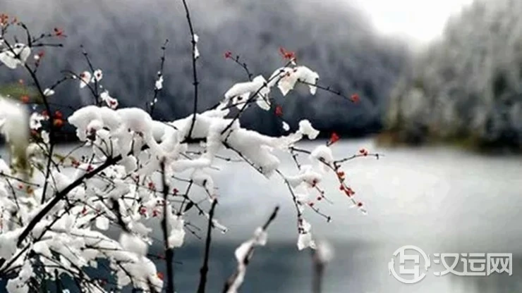 当心！12生肖年末可能会遭遇这些“风波”