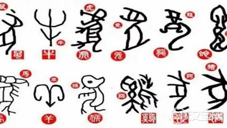 解密12属相旺运年份，你何时起大运？