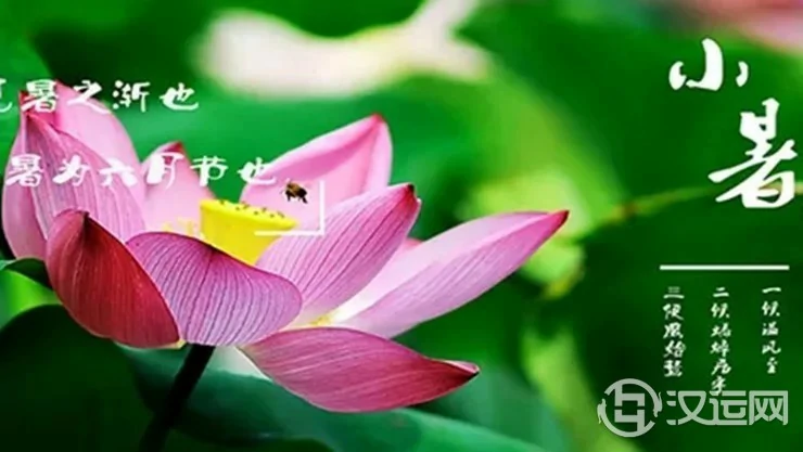 小暑时节如何养生助运？