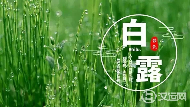 白露：重要节气不容错过！