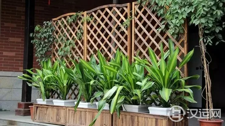 相生相克：如何用植物屏风化解煞气？