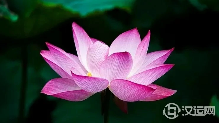 子女的福报，都跟你有关系！一看便知！