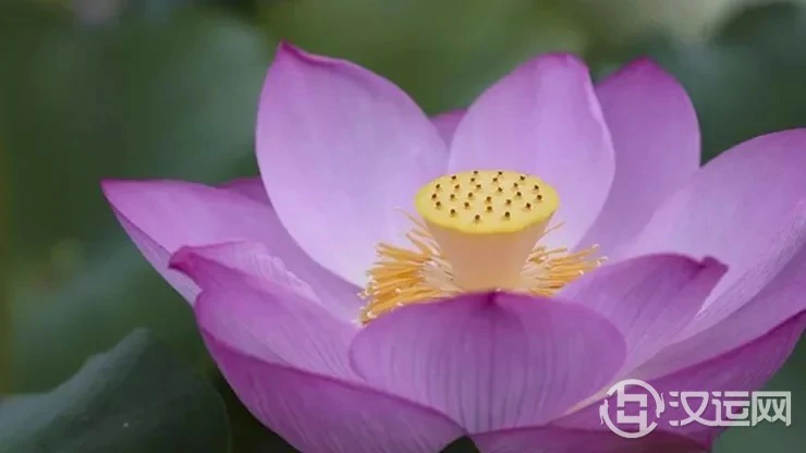 八字先天不好？自有天星化解！