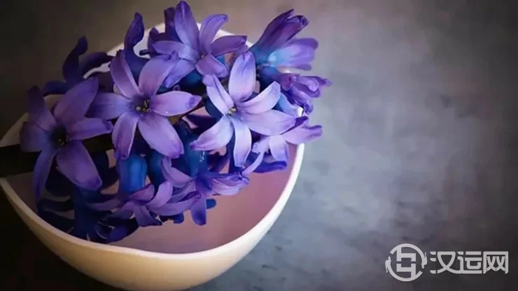 不容忽视的紫色风水，你用对了吗？