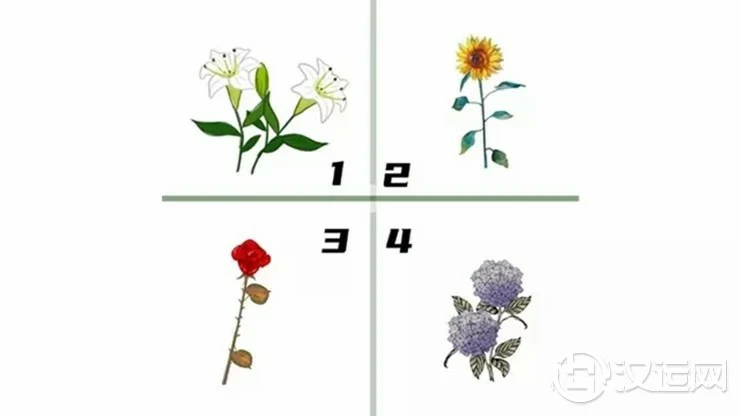选一朵花，测你在人生哪个阶段会最幸福?