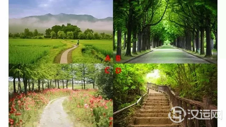 心理测试：哪条小路藏有无尽的希望，测谁能在你身边陪你一辈子