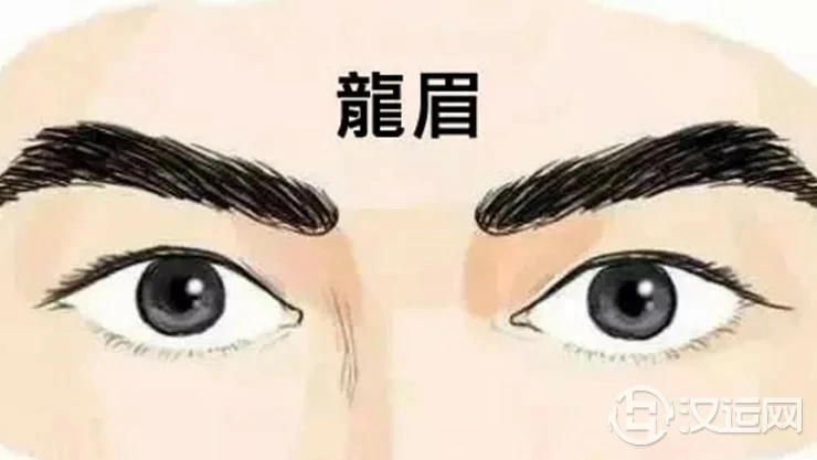 生有这几种眉形的男人财运最旺