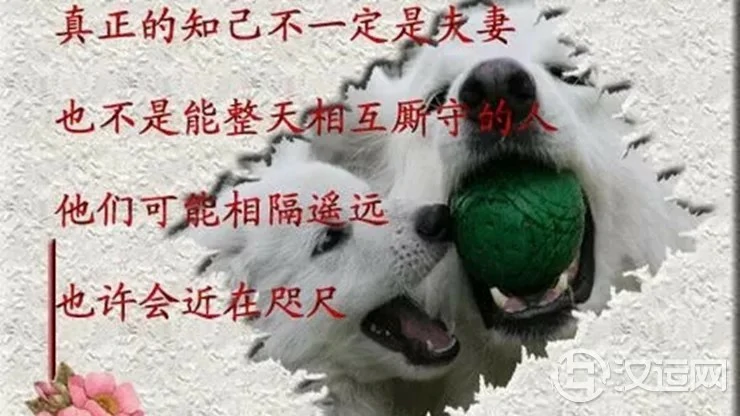 由星座寻找你的灵魂知己