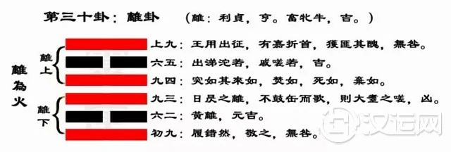 离卦解读