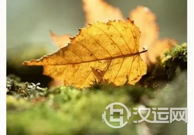 八字看寒露节气时运