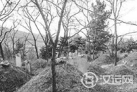 坟墓上长树到底好不好呢?