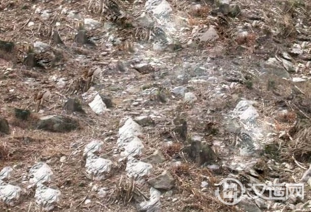 相地风水:坟墓有五种地不可葬