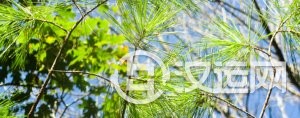 阳宅风水中的二十种风水大门类