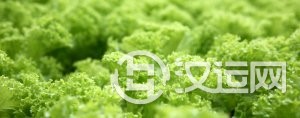 住宅犯风水穿堂煞，该如何化解