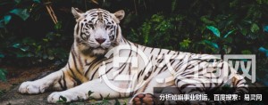 墓地风水知识，教你看墓型墓相