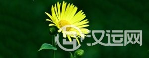 周易八卦知识：八卦的基本含义