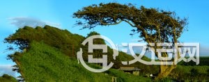 距离会成为你们感情路上的阻碍吗