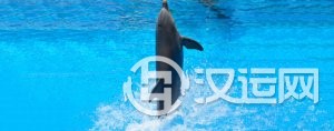 男孩子生辰八字起名有哪些技巧