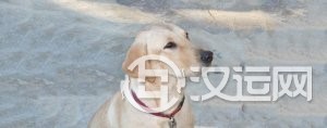 八字算命：适合事业的几种格局