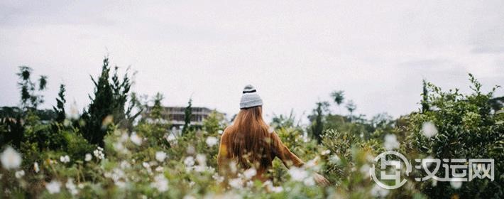 生肖猪女生单身的原因
