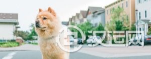 爽快渊博的儒雅风趣意男孩名字